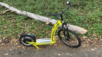 Hugo Bike Sunny - 2