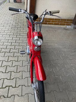 Jawetta 551 - 2
