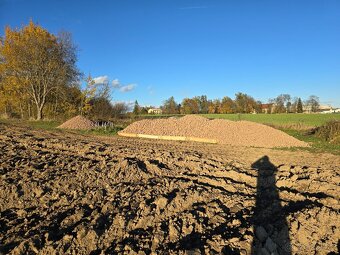 Brambory konzumní - 2