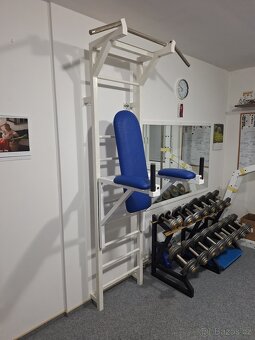 Domáce fitko DAFE, Franka Sport - 2