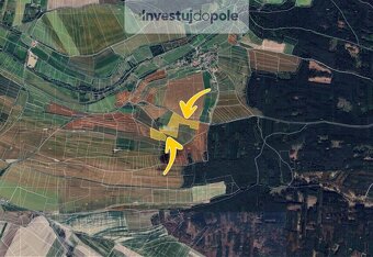 Prodej pole v k.ú. Kojovice - 2