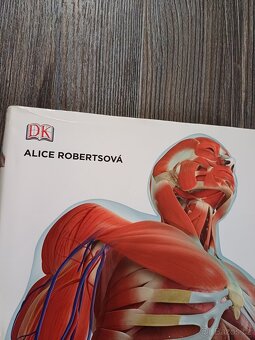 Kompletní lidské tělo - 2