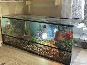 Prodám terarium - 2