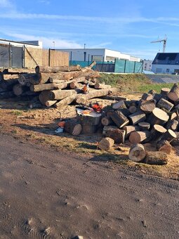 Práce s motorovou pilou - 2