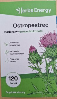 Ostropestřec - 2