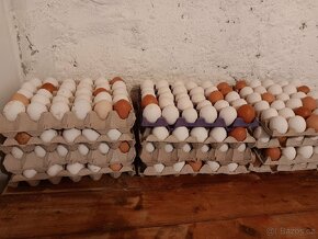 Prodám vejce - 2
