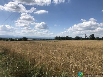 Exkluzivní prodej pozemku 11702 m2, Klimkovice - Hýlov - 2