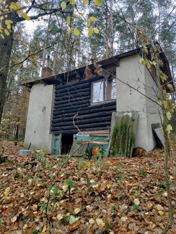 Prodám chatu u Jindřichova Hradce - 2
