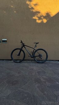 Pells  Duke Race - 2