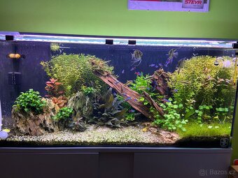 Akvárium 180l - 2