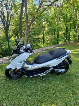 Honda Forza 300 - 2
