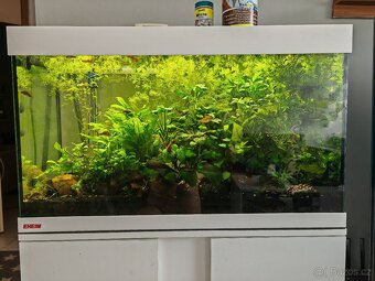 Akvarium - 2
