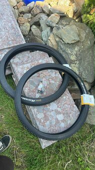 Celopéro giant reign 26 - 2