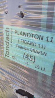 Planoton 11 (figaro11) engoba Grafen - 2