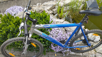 Raleigh horské kolo, pánské - 2