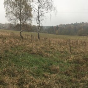Prodej pozemku 5142m2 v Lindavě - 2