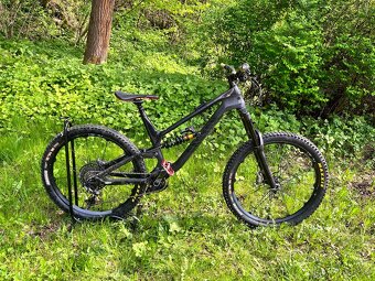 Canyon Torque CF7 - 2