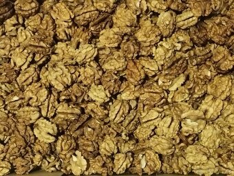 VLAŠSKÉ NOVÉ CELÉ VYLOUPANÉ OŘECHY - 2