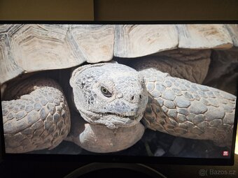 Monitor LG 4k 60hz - 2