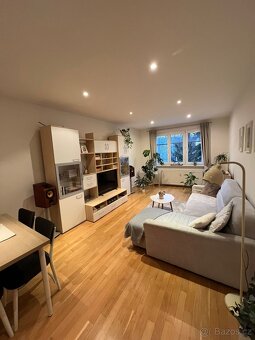 Světlé 2+1 na Petřinách, minutu od metra - 2