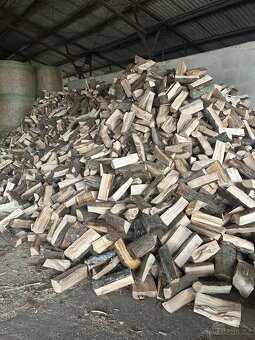 palivové dřevo - 2