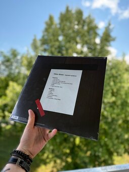 Viktor Sheen Impostor Syndrom Vinyl - 2