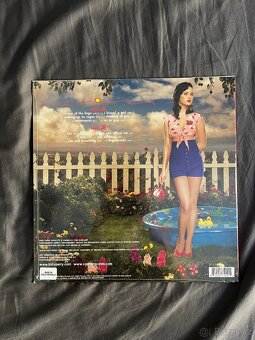 LP Katy Perry: One Of The Boys - 2