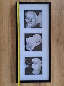 Obraz triptych orchidejí - 2