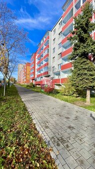 Dlouhodobý podnájem bytu 1+kk, zasklený balkón, Ostrava Poru - 2