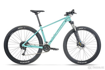 GALAXY SKYLAB 1.0 29" - 2