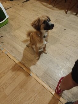 Daruji 5 měsíční stěně - 2