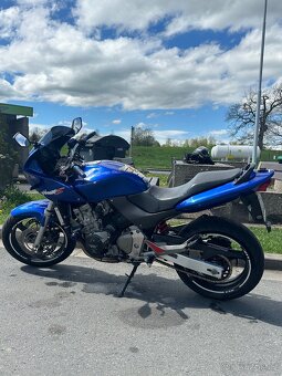 Hornet 600s - 2