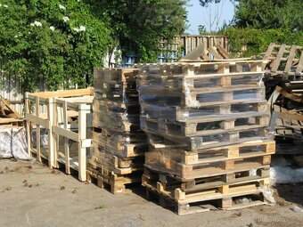 Daruji dřevo na topení - 2