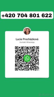 Blueair Blue Pure 211i Max - 2