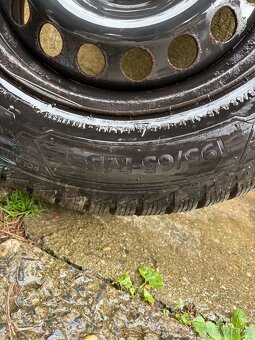 Barum polaris 5 195/65 R 15 T - 2