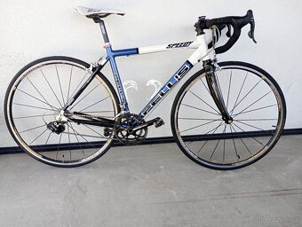 Pells Speedy Campagnolo Veloce, ve.S - 2