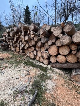 Palivové dřevo - 2