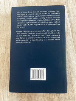 Paní Bovaryová - Gustave Flaubert - 2