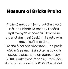 LEGO MUZEUM rodinný vstup - 2