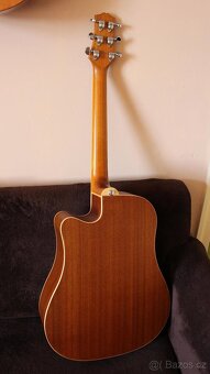 Elektroakustika Ashton D55SCEQ NTM - 2