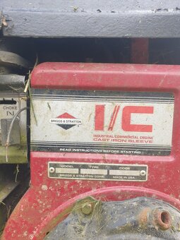 Tera Briggs & Stratton - 2