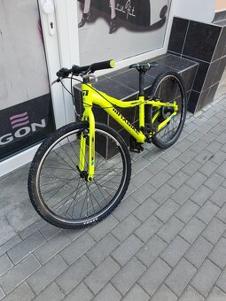 Kolo Maxbike - 2