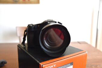SONY DSC-RX10 - 2