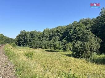 Prodej louky, 5874 m², Bakov nad Jizerou - Malý Rečkov - 2