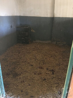 Nabízíme volné místa - ustájení 12/12 - 2