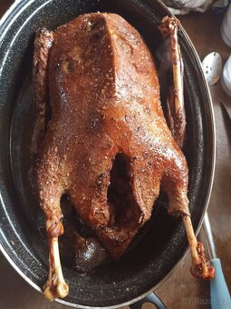 Svatomartinská husa - 2