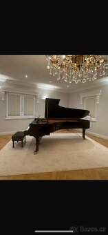 Koncertní křídlo Steinway & Sons Spirio | r D-274 - 2