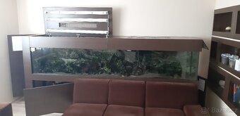 Akvarium 1300L - 2