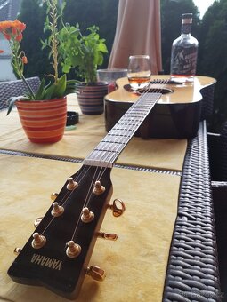 AKUSTICKÁ KYTARA YAMAHA DW-15 CELOMASIVNÍ - 2
