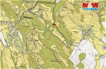 Prodej lesa, 2062 m², Koberovy - 2